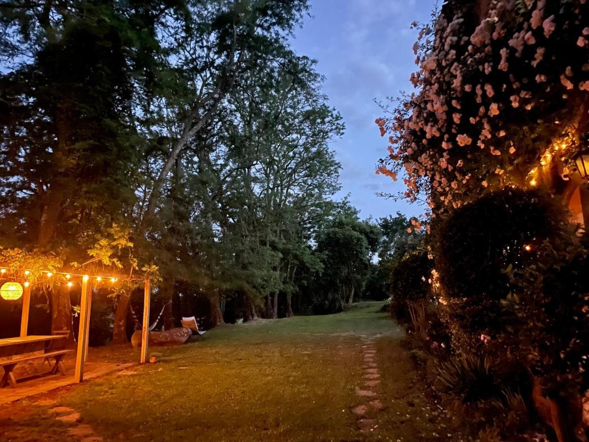 Collina Blu Bed & Breakfast Болсена Екстериор снимка
