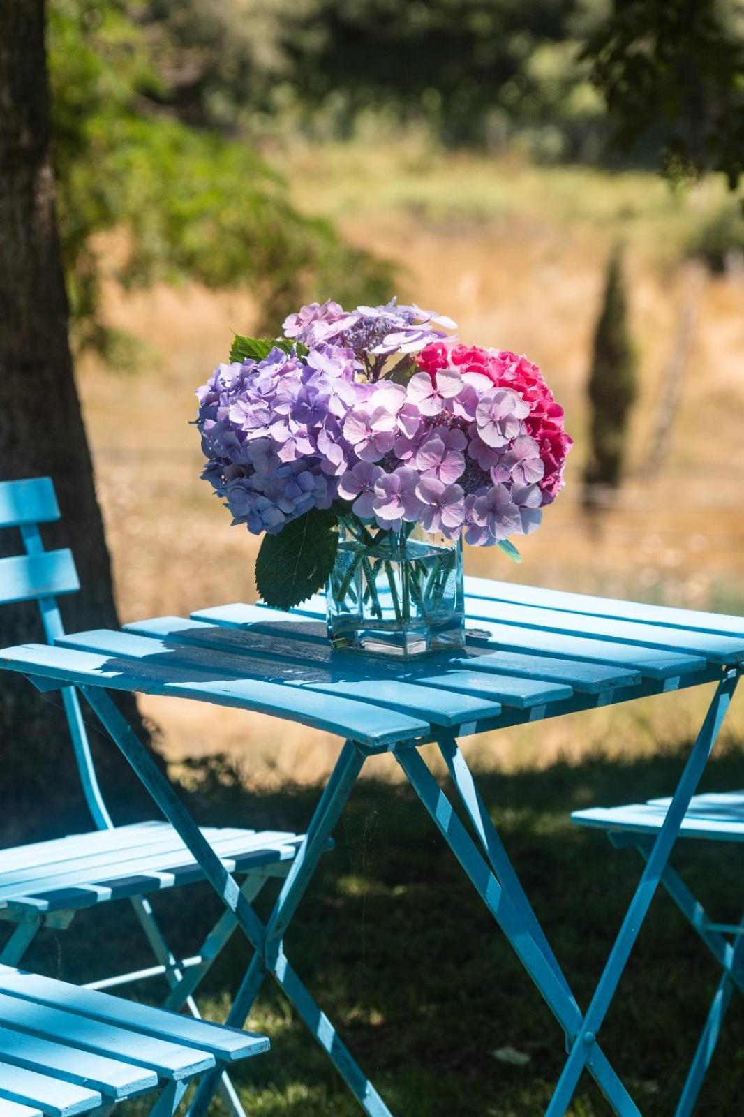 Collina Blu Bed & Breakfast Болсена Екстериор снимка