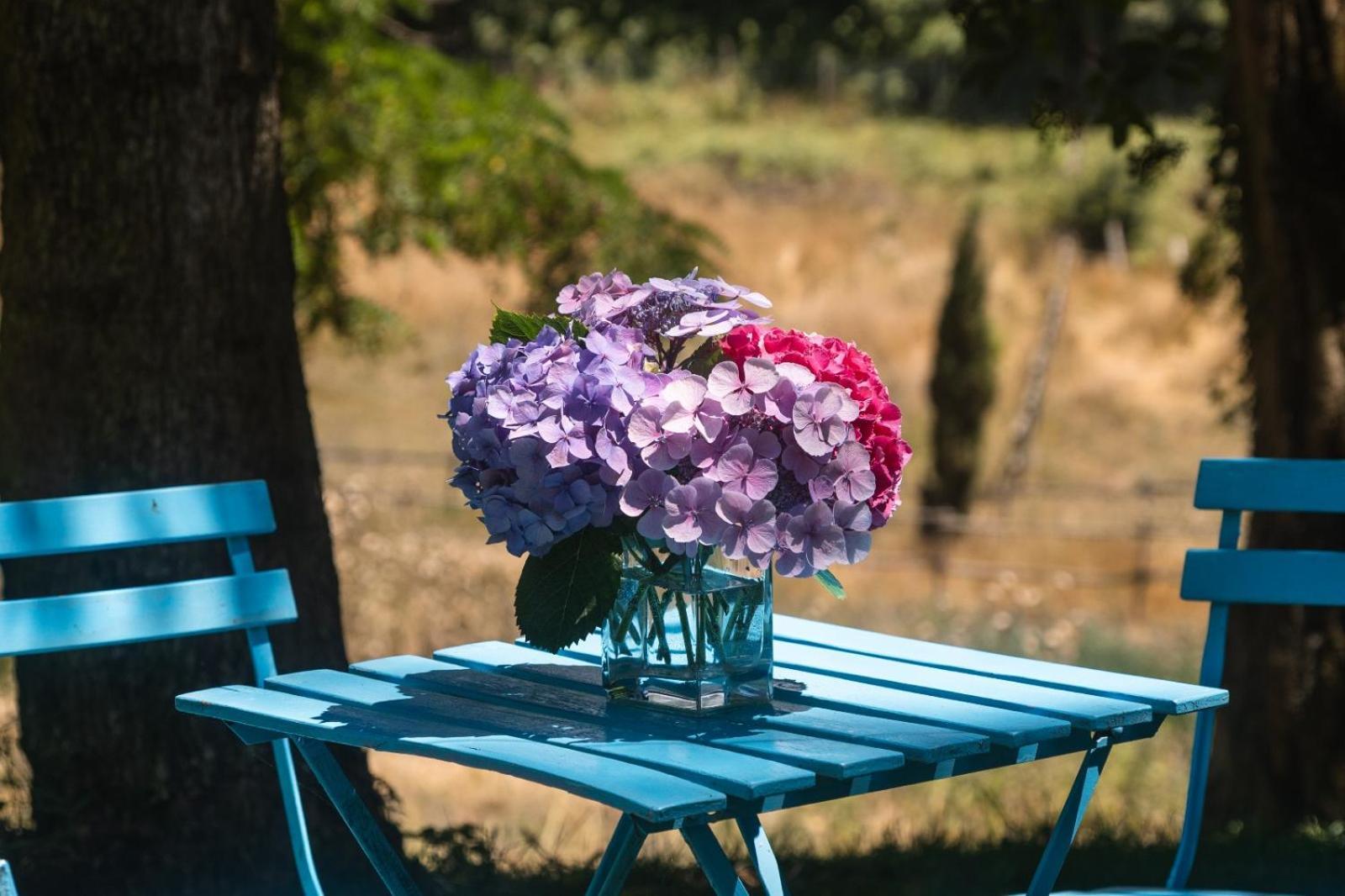 Collina Blu Bed & Breakfast Болсена Екстериор снимка